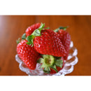 Nikon NIKKOR Z DX 24mm f/1.7 Lens (Nikon Z)