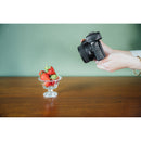 Nikon NIKKOR Z DX 24mm f/1.7 Lens (Nikon Z)