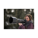 Nikon Z8 Mirrorless Camera