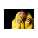 Nikon Z8 Mirrorless Camera