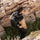 Wandrd NIMBUS 18L Backpack - Black