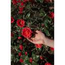 Polaroid Hi-Print 2 x 3" Paper Cartridge (20 Sheets)