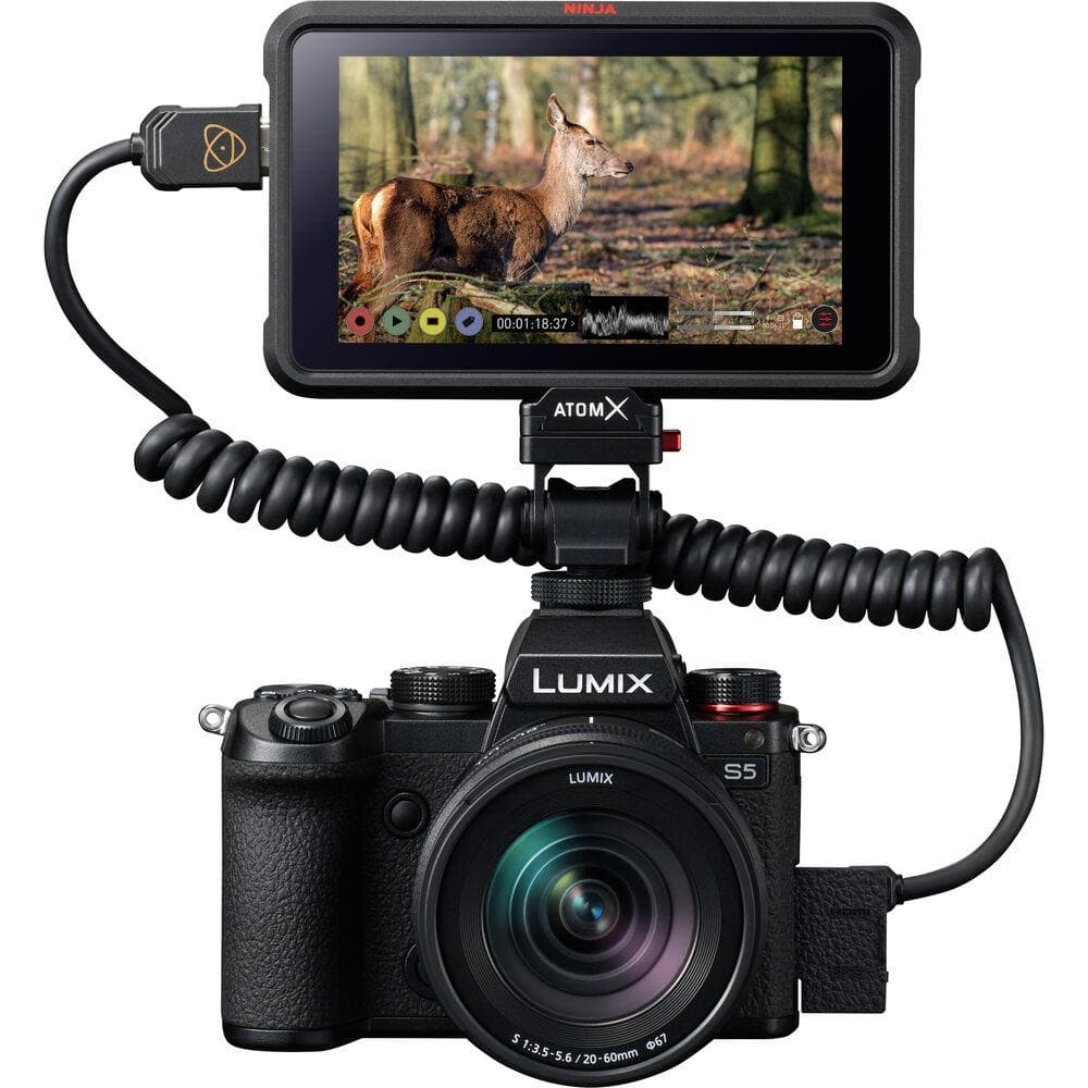 Panasonic Lumix DC-S5 Mirrorless Digital Camera With 20-60 mm lens Kit