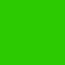 Paint Key Rosco Chroma (vert, 1 litre)