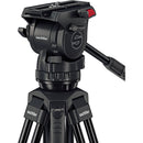 Sachtler Ace XL Mark II Fluid Head (bol de 75 mm)