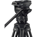 Sachtler Ace XL Mark II Fluid Head (bol de 75 mm)