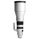 Sigma 300-600 mm f / 4 DG OS Sports Objectif (Sony E)