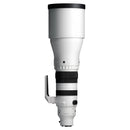 Sigma 300-600mm f/4 DG OS Sports Lens (L-Mount)