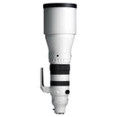 Sigma 300-600mm f/4 DG OS Sports Lens (L-Mount)