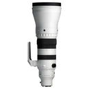 Sigma 300-600 mm f / 4 DG OS Sports Objectif (Sony E)