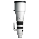 Sigma 300-600 mm f / 4 DG OS Sports Objectif (Sony E)