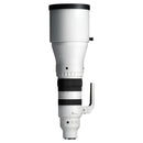 Sigma 300-600 mm f / 4 DG OS Sports Objectif (Sony E)