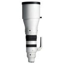 Sigma 300-600mm f/4 DG OS Sports Lens (L-Mount)