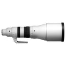 Sigma 300-600 mm f / 4 DG OS Sports Objectif (Sony E)