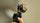Tilta ND Filter Kit for Osmo Pocket 4P (Without Filter Carrying Case)