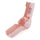 TA-T103-PTC-LP-5-cropped.jpg
