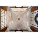 Venus Optics Laowa 10mm f/2.8 Zero-D FF Autofocus Lens - Sony E mount