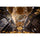 Venus Optics Laowa 10 mm f / 2,8 Zero-D FF Autofocus Lens - Sony E Mount