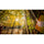 Laowa Vénus Optics Af 10 mm f / 2,8 Zero-D FF Objectif - Nikon Z Mount