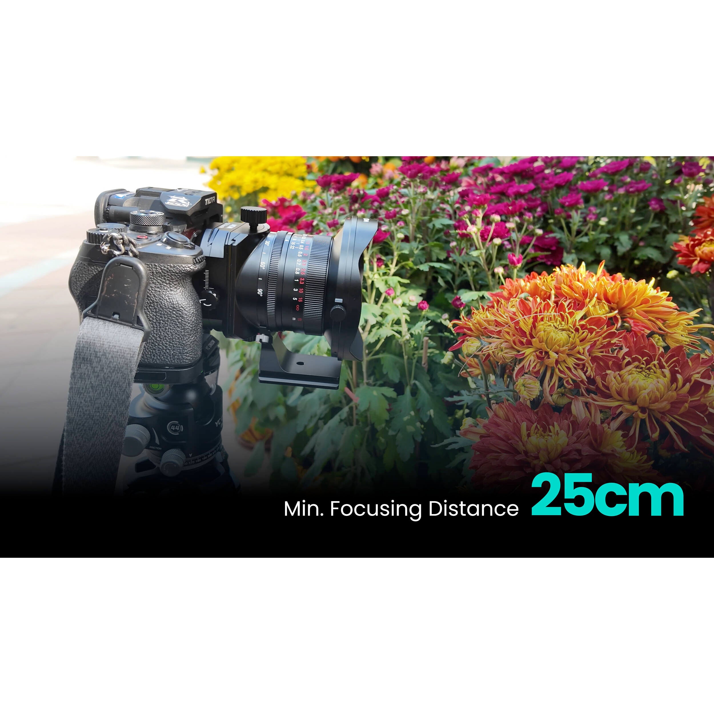 Venus Optics Laowa 17mm f/4 Zero-D Shift Objectif (HasselbladX)