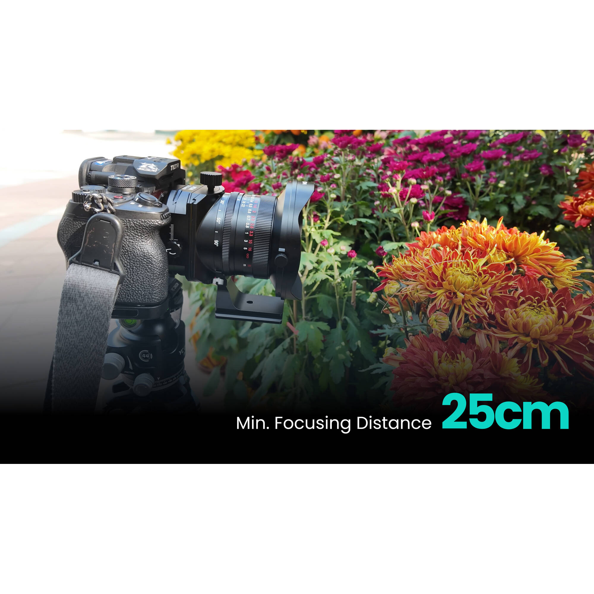 Venus Optics Laowa 17mm f/4 Zero-D Tilt-Shift Objectif (Sony E)