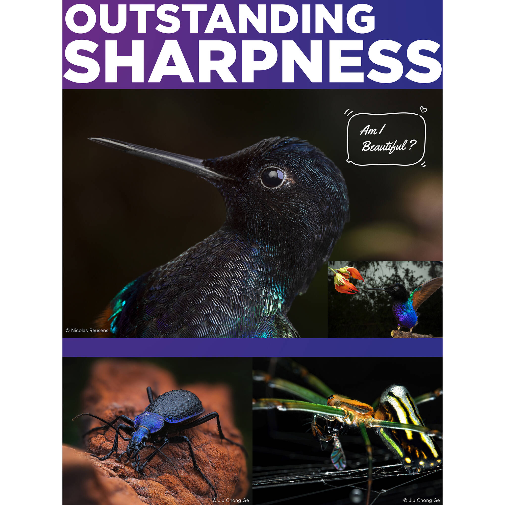 Venus Optics Laowa 90mm f/2.8 2x Ultra Macro APO Lens for Sony E