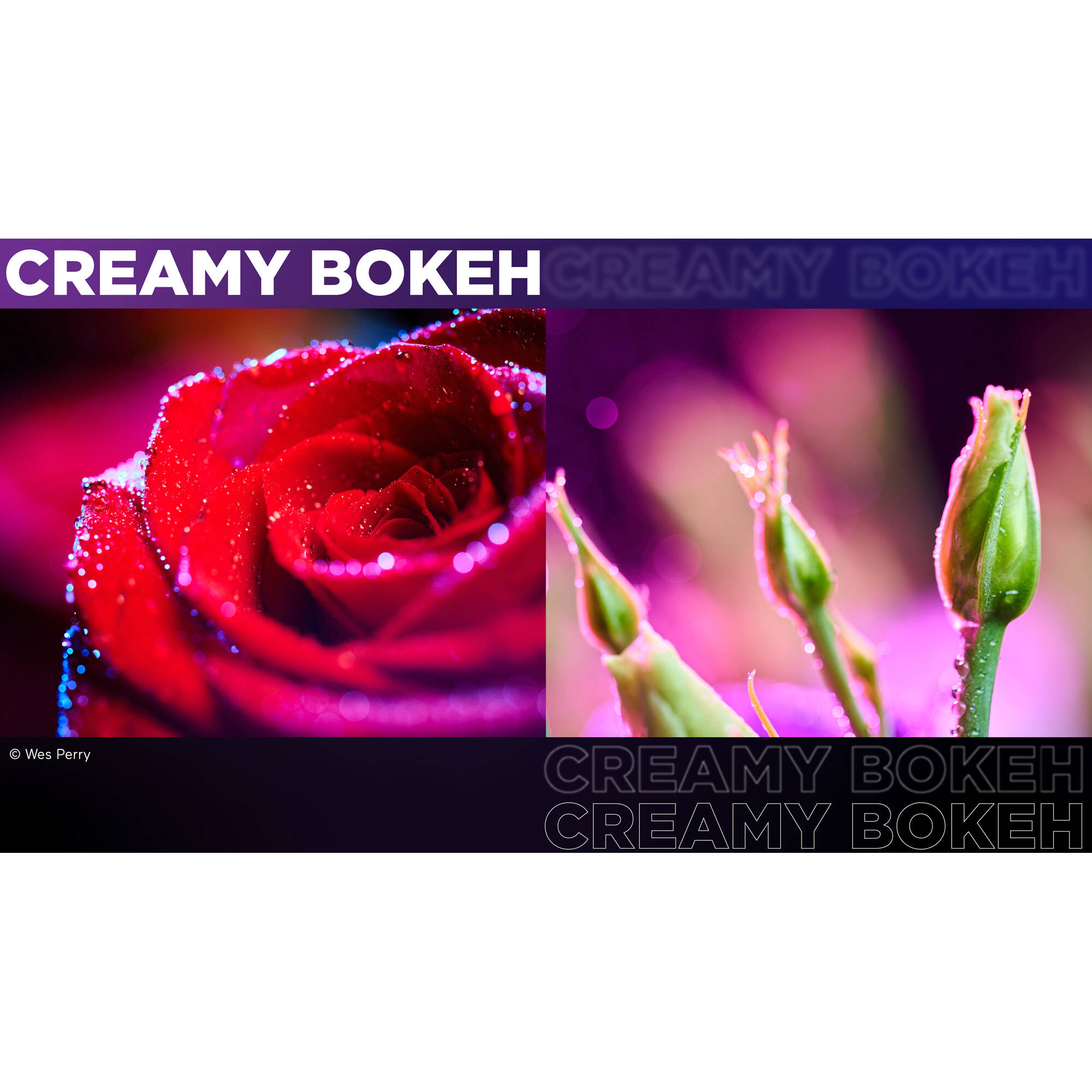 Venus Optics Laowa 90mm f/2.8 2x Ultra Macro APO Lens for Sony E