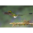 Venus Optics Laowa 90mm f/2.8 2x Ultra Macro APO Lens for Sony E