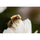 Venus Optics Laowa 90 mm f / 2,8 2x ultra macro apo Objectif Pour Sony E