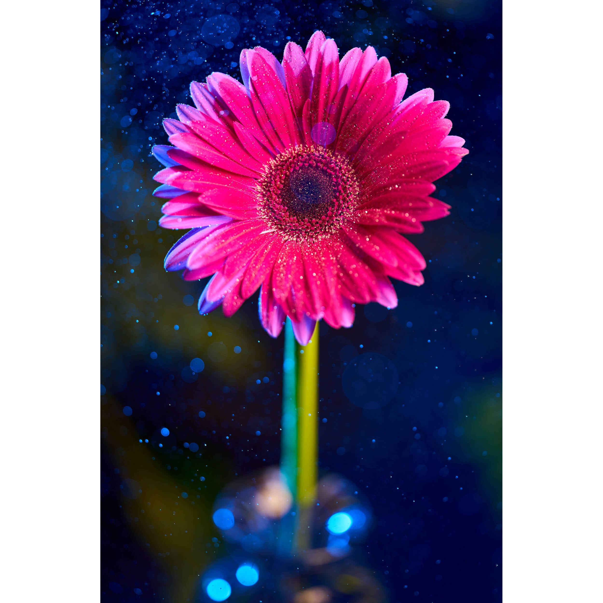 Venus Optics Laowa 90mm f/2.8 2x Ultra Macro APO Lens for Sony E