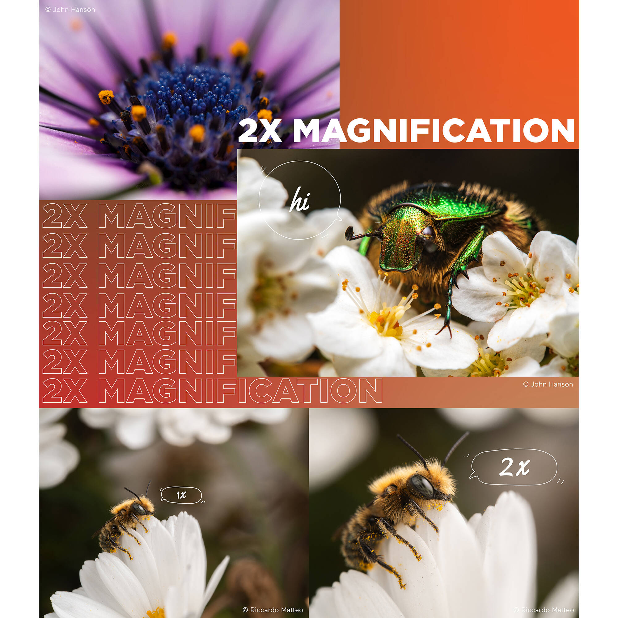 Venus Optics Laowa 90mm f/2.8 2x Ultra Macro APO Lens for Leica L