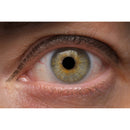 Venus Optics Laowa 90 mm f / 2,8 2x ultra macro apo Objectif Pour Nikon Z