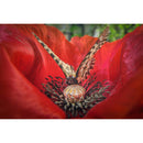 Vénus Optics Laowa 15 mm f / 4.5 macro Objectif (Sony E, Auto-Aperture)