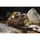Vénus Optics Laowa 15 mm f / 4.5 macro Objectif (Sony E, Auto-Aperture)