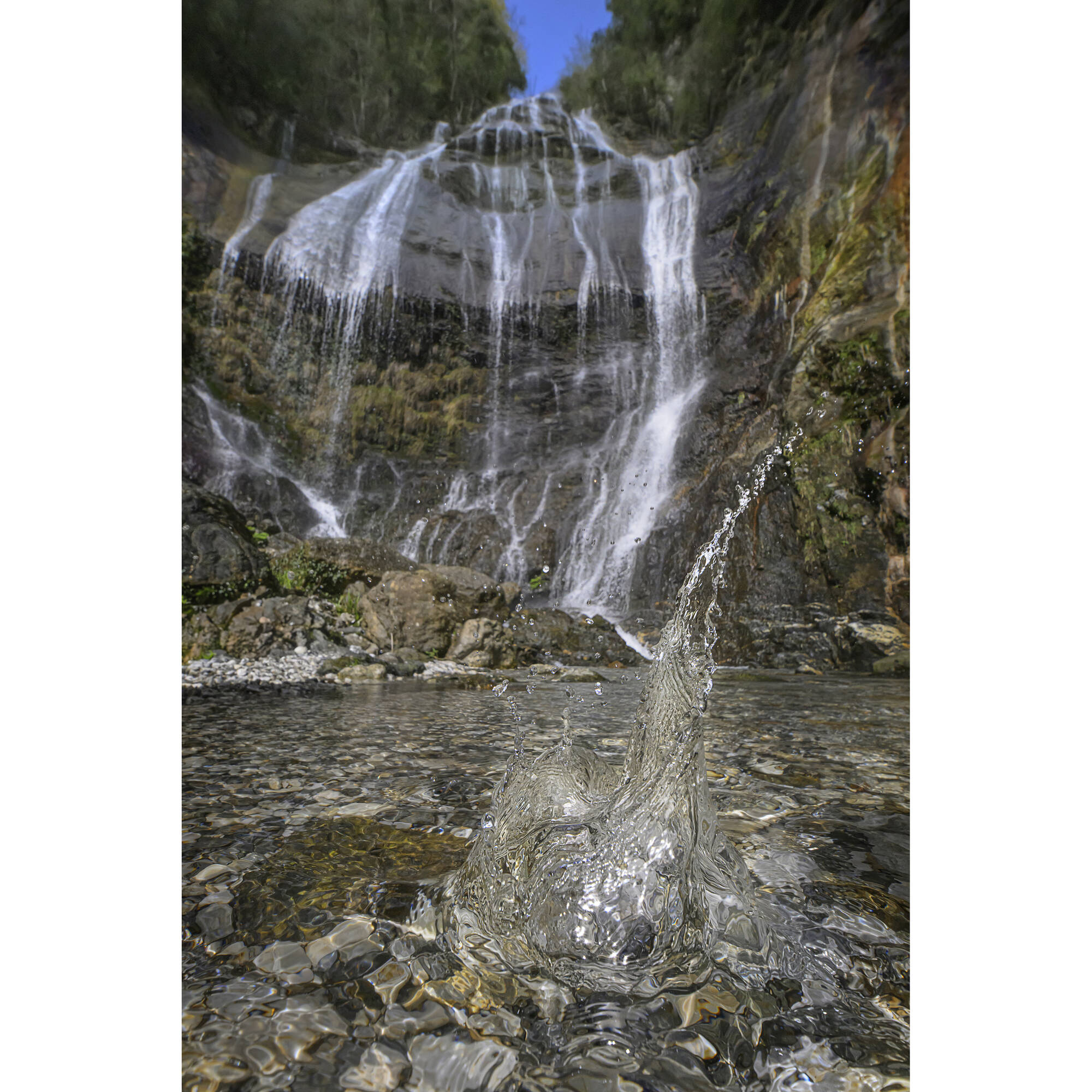 Vénus Optics Laowa 15 mm f / 4.5 macro Objectif (Nikon F)