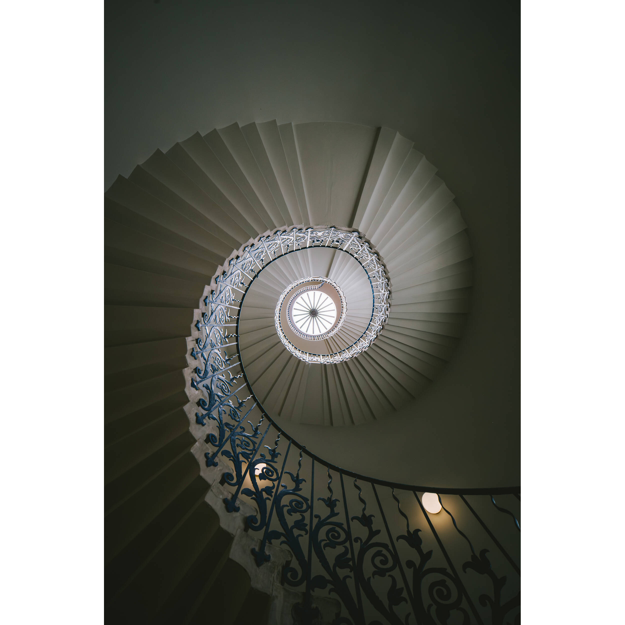 Vénus Optics Laowa 15 mm f / 4.5 macro Objectif (Nikon F)