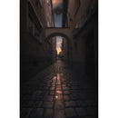 Vénus Optics Laowa 15 mm f / 4.5 macro Objectif (Nikon F)