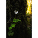 Vénus Optics Laowa 15 mm f / 4.5 macro Objectif (Nikon Z, Auto-Aperture)