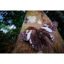 Vénus Optics Laowa 15 mm f / 4.5 macro Objectif (Nikon Z, Auto-Aperture)