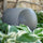 Victrola ZEN Outdoor Solar Speaker