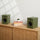 Victrola Tempo Bluetooth Bookshelf Speakers - set of 2 (Green)