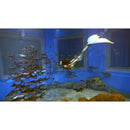 Godox WL8P Waterproof LED Light