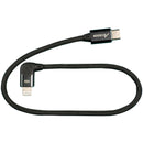 Accsoon Câble masculin masculin USB-C (1 ')