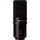 Zoom ZUM-2 USB Microphone