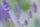 Sony SEL100M28GM FE 100mm f/2.8 Macro GM Objectif (Sony E)