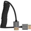 Câble HDMI complet enroulé bleu Kondor (12-24") - Noir