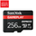 Sandisk 256GB GamePlay microSD Express Memory Card