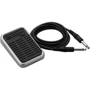 Zoom FS01 - Pédale de commande pour séries 500 et RT