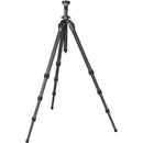 Gitzo GT2543L Mountaineer Series 2 Carbon Fiber Tripod (Long)