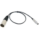 Câble Teradek à 2 broches à XLR (18 ")